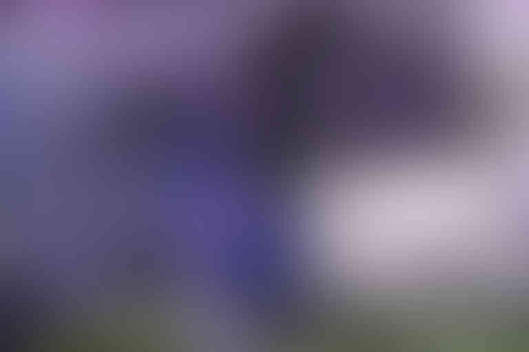 single_content_01_v01